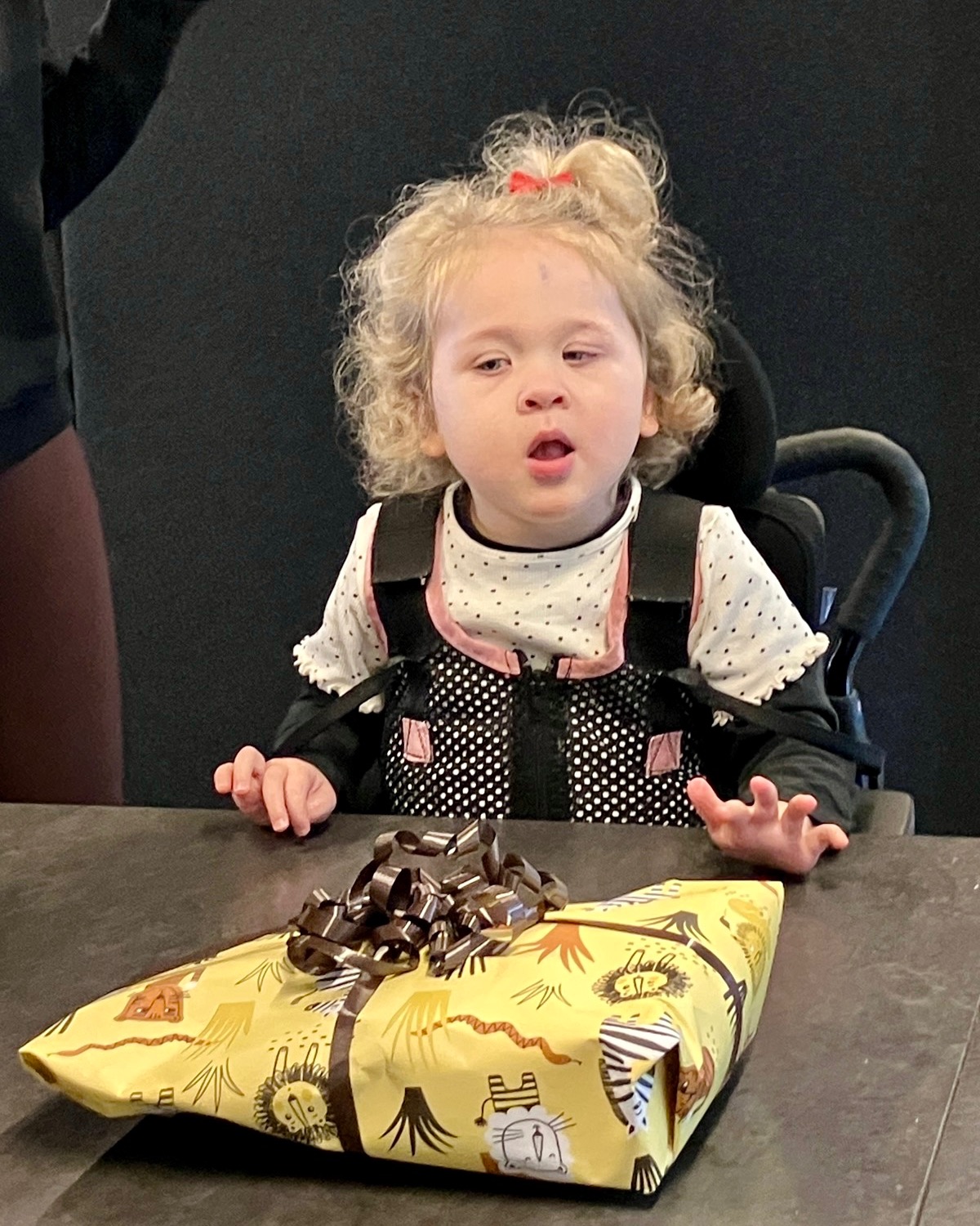 Liv’s 4th Birthday